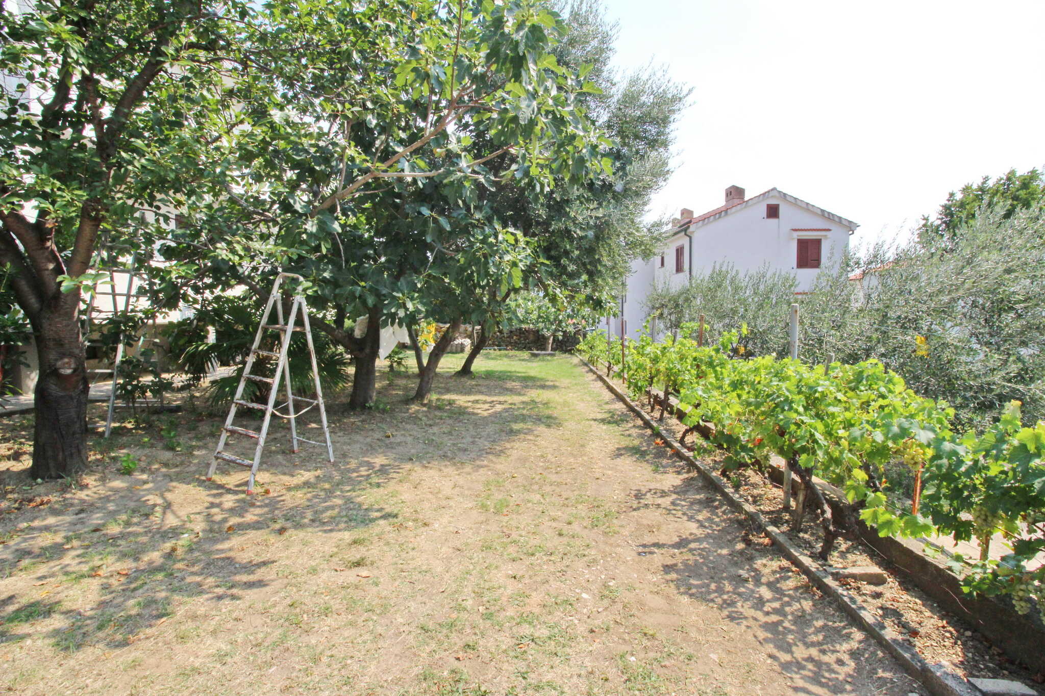 Proprietà