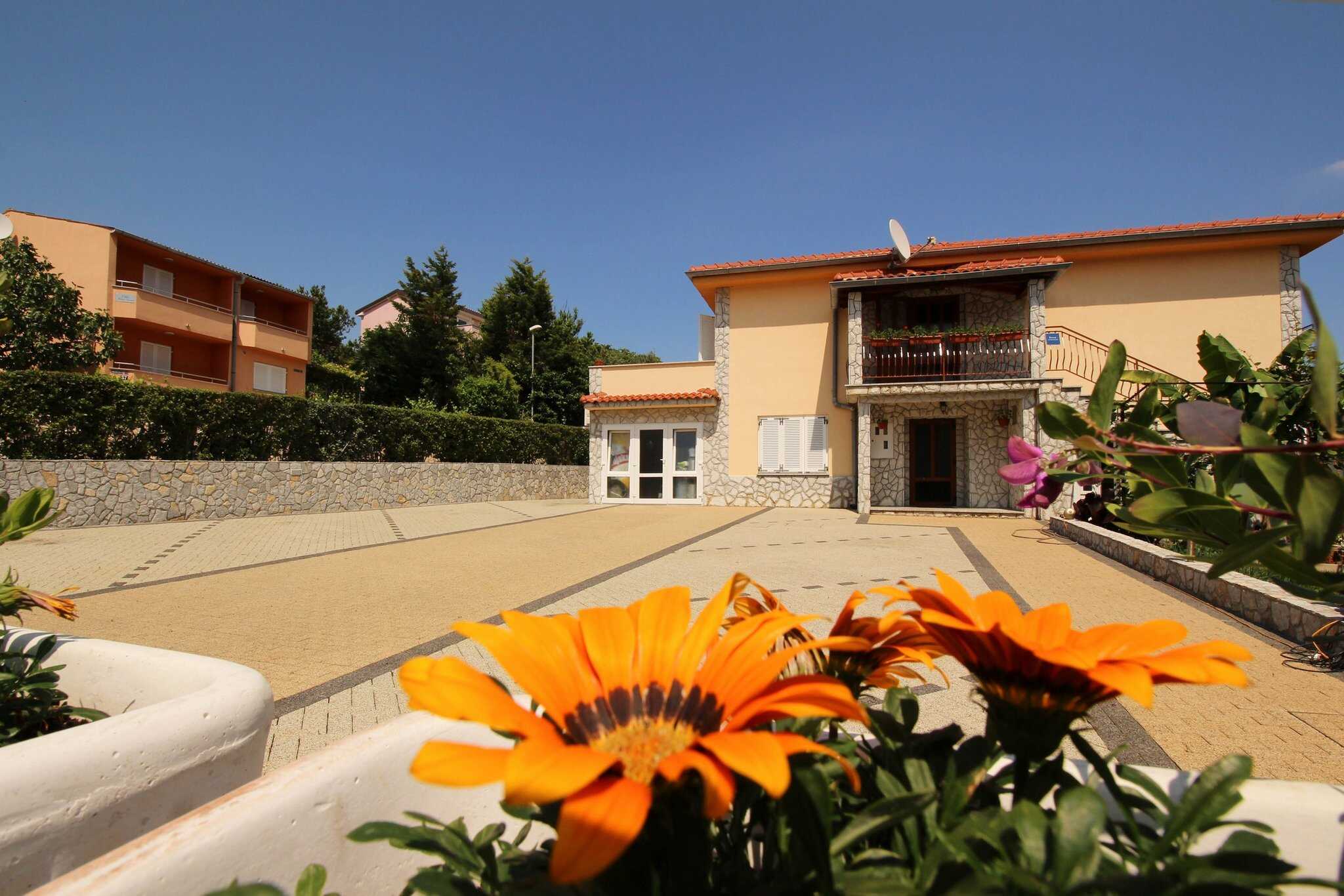 Vedi tutto
