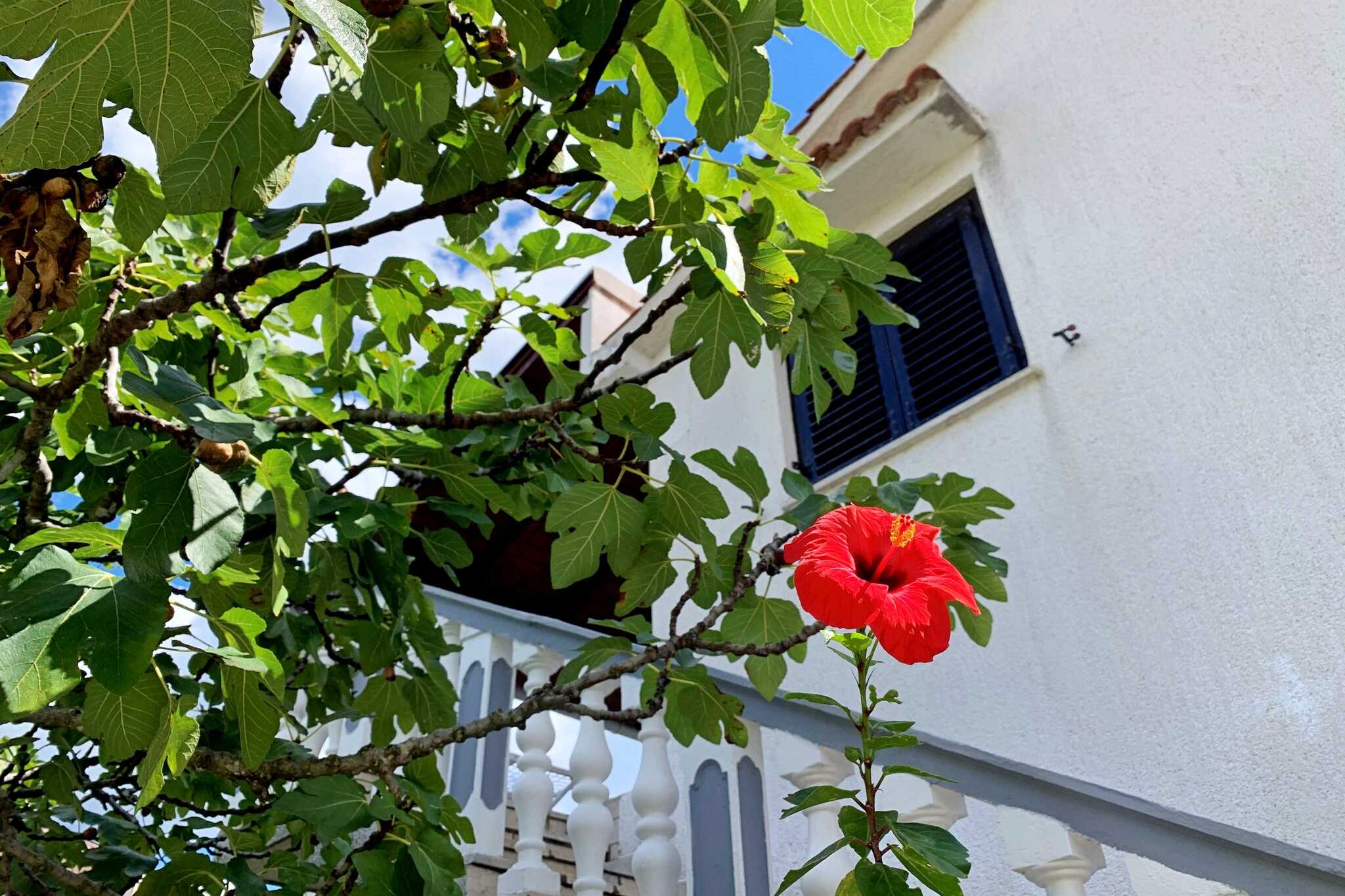 Proprietà