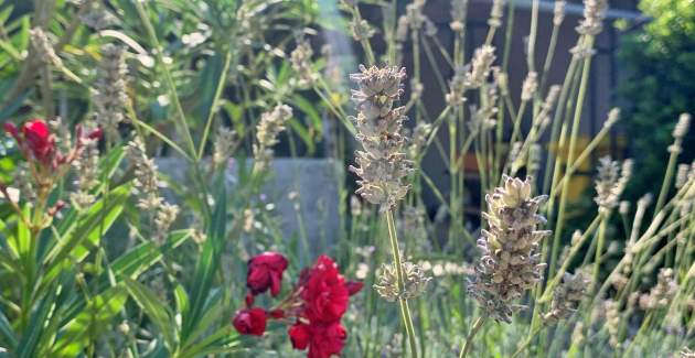 Appartamento Gordana – 270 m dal mare