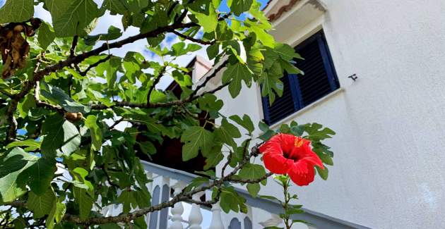 Apartment Horvat 2 – Sea View