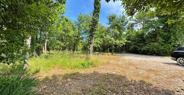 Apartment Scheich 4 – Sea View