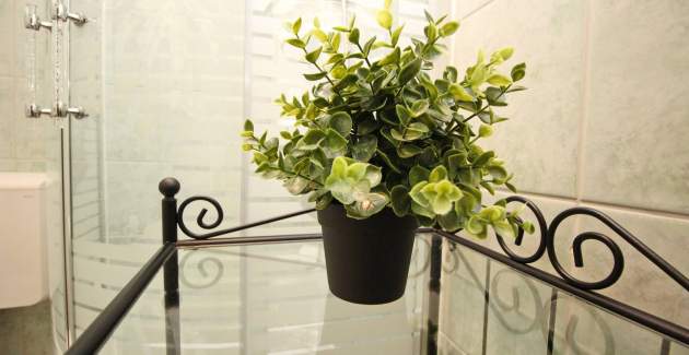 Apartment Fantov No.1 - with Terrace, 250 m from the Beach