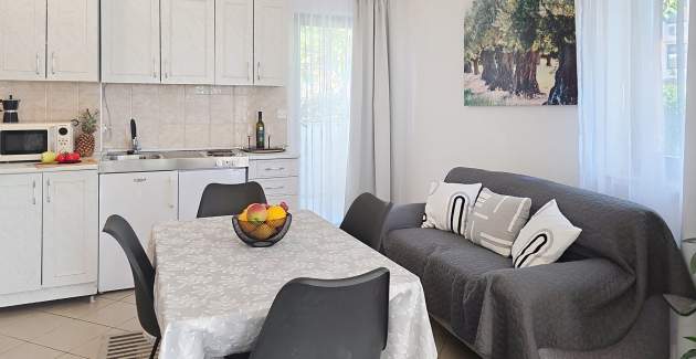 Apartman Grozdana br.1A – s terasom