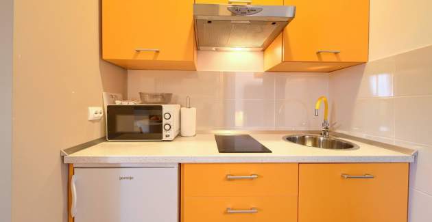 Apartment Nana priz - with large Terrace