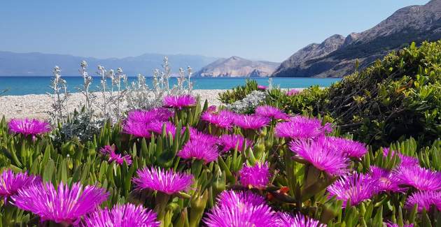 Apartment complex Villas Corinthia 10 - Top Location, 100m from the Beach, surrounded by Greenery