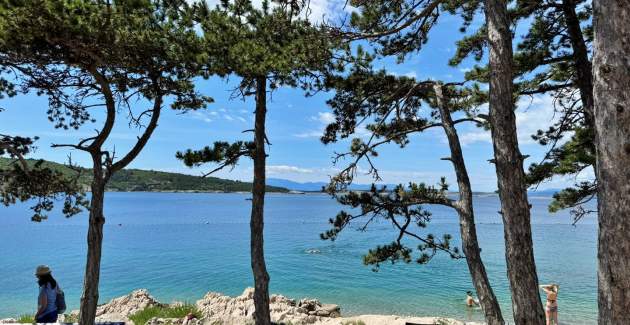 Apartments Zeljka – 15 m from Sea, Sea View